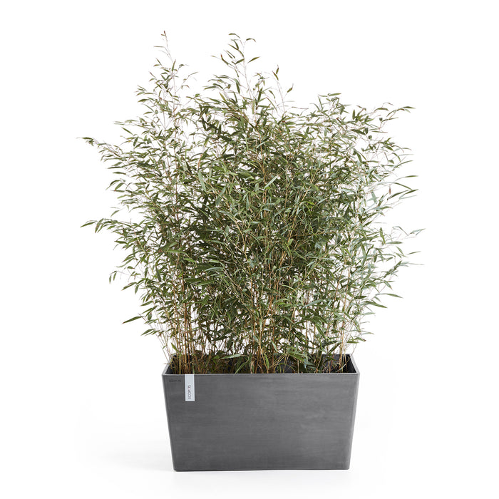 Ecopots Little Paris 60