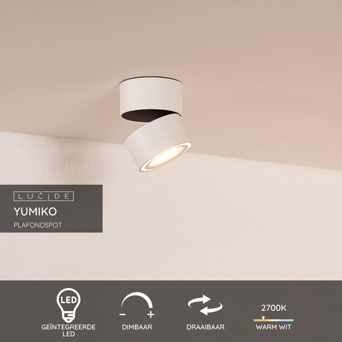 2d28a8e8-1b7e-4a73-9c30-102fdcd8e541-sfeerbeeld.jpg (3217341) 