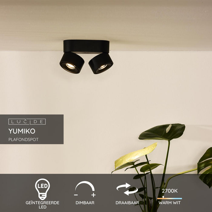 5d53d235-bb74-4717-a765-ba7971cae1fe-sfeerbeeld.jpg (3220095) 