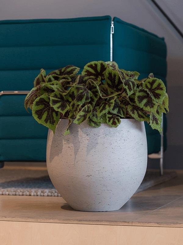 0274d3e9-9093-490d-969e-7e6b73989916-afbeelding10.jpg (3220518) 