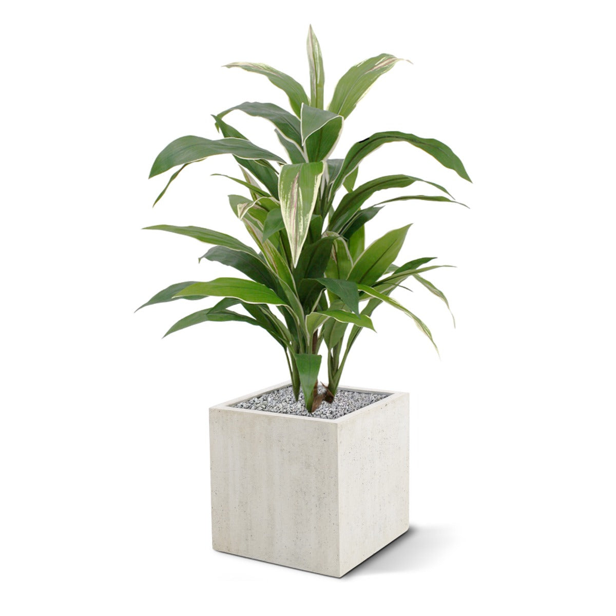 eba3bf75-5967-4880-9793-4a32a4459a8c-sfeerbeeld.jpg (3221683) 