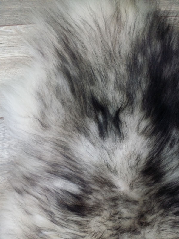 d1a6c659-99a9-41ab-815f-fc9b19160aa2-afbeelding3.jpg (3228294) 