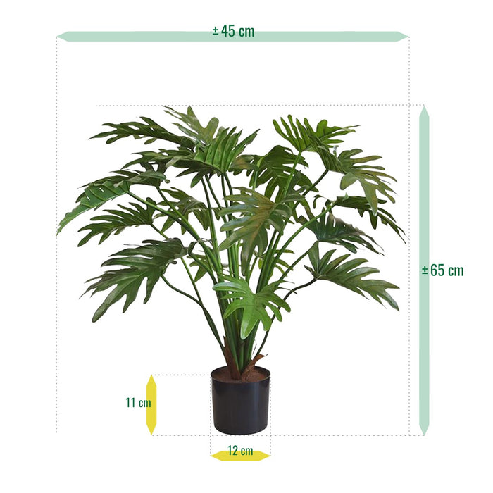 76ff2cb5-d8eb-4476-a686-70c6e71b4588-afbeelding6.jpg (3229664) 