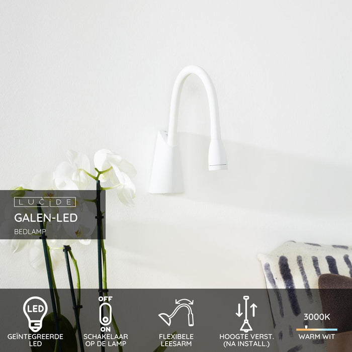 805bc38b-a203-47d7-9ac6-26015378d8e1-sfeerbeeld.jpg (3230812) 