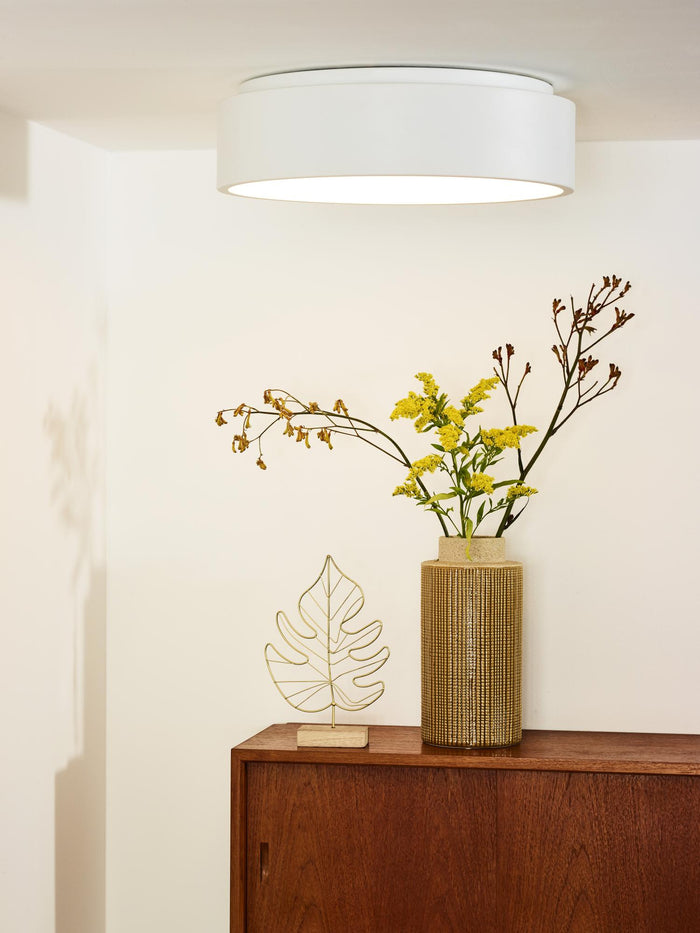 285f2e79-1176-4583-8f29-9e78c326056f-afbeelding4.jpg (3230821) 