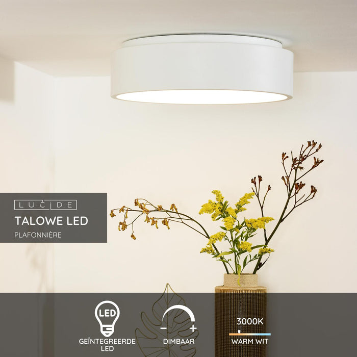 285f2e79-1176-4583-8f29-9e78c326056f-sfeerbeeld.jpg (3230823) 