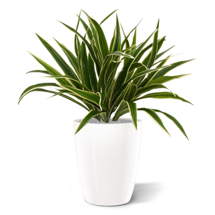 114d4c84-7cba-4256-bd07-a878567c5d6b-afbeelding3.jpg (3235025) 