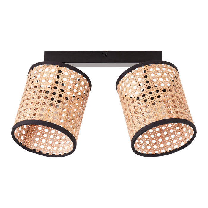 310713-x00.jpg (3238709) 