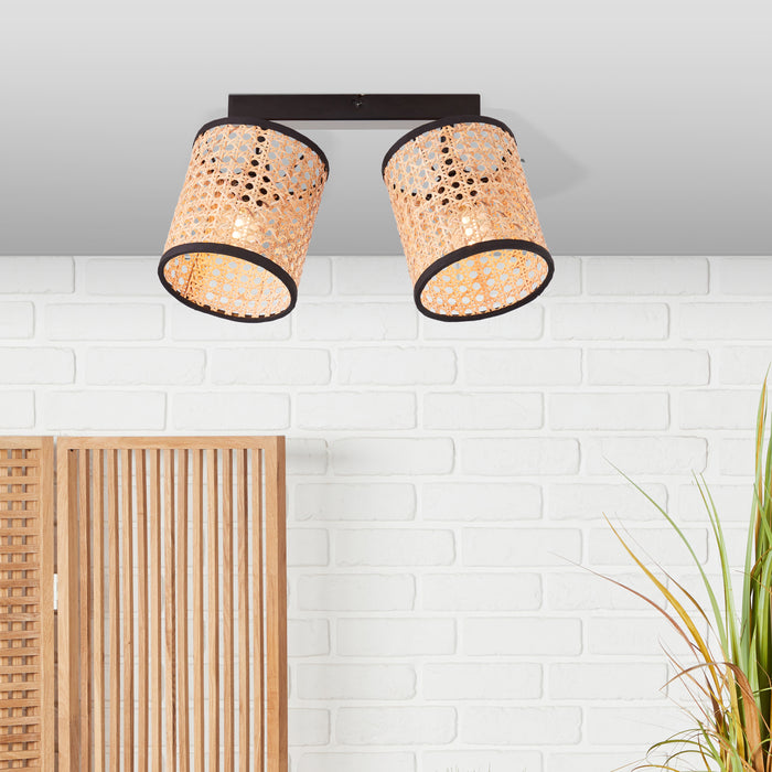 310713-x03.jpg (3238712) 