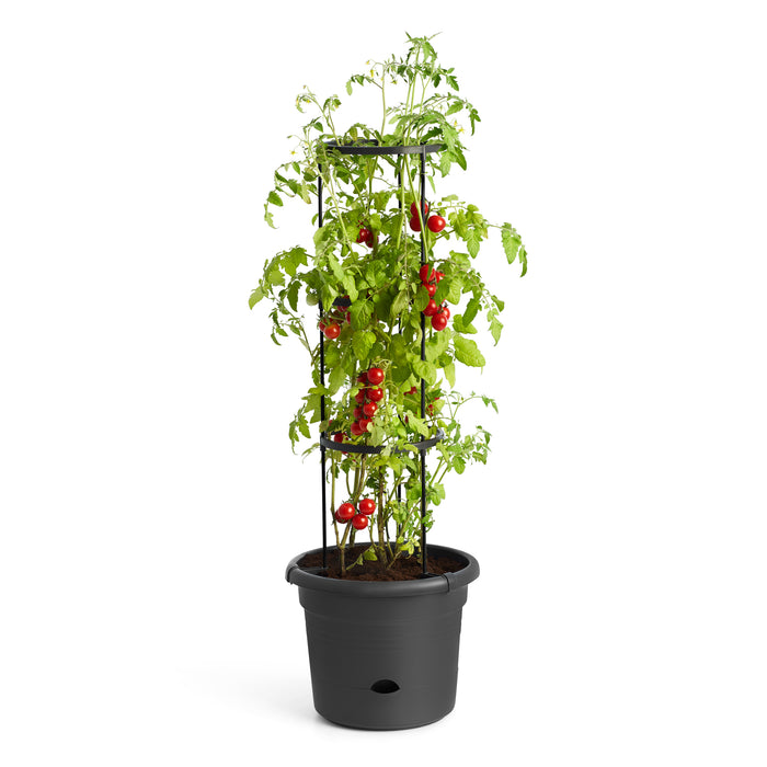 elho Green Basics Tomatenpot 33 cm