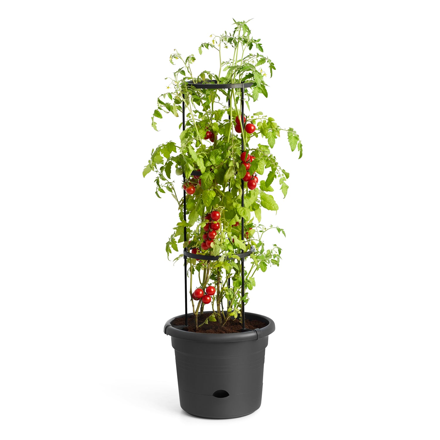 elho Green Basics Tomatenpot 33 cm