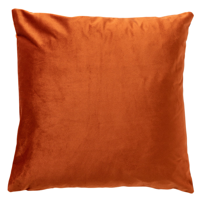 fb05df46-82c8-469a-ab18-733be0994e9c-afbeelding3.jpg (3243995) 