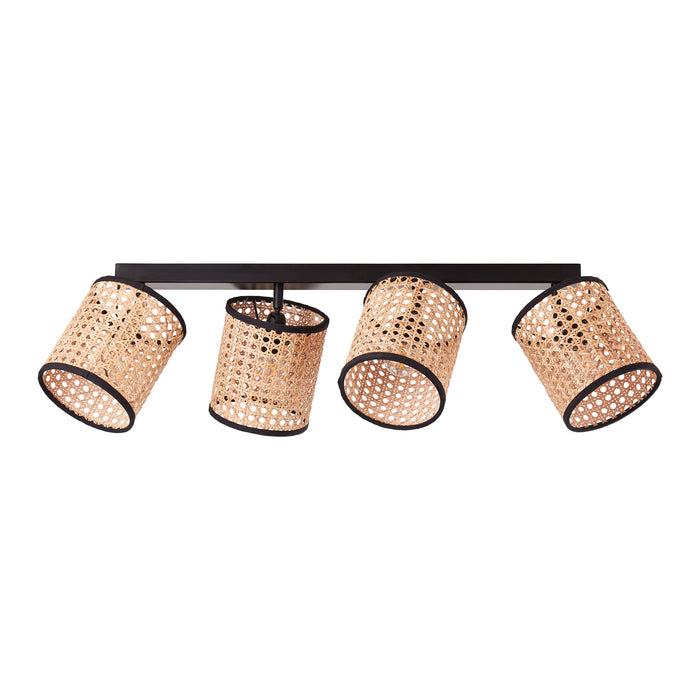 310715-x00.jpg (3244078) 