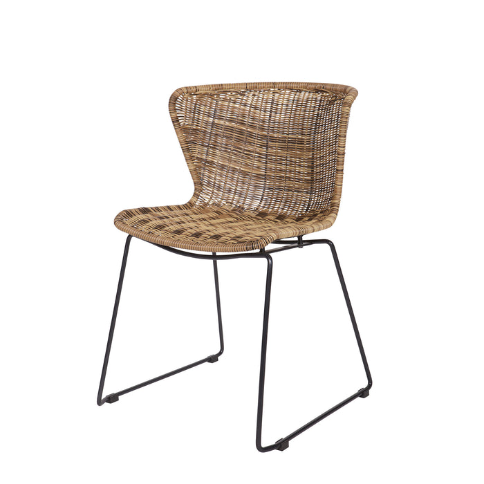 164717-x1.jpg (3246875) 