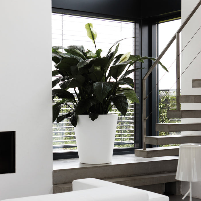 elho Pure Straight Round Plantenbak 65 cm Wit