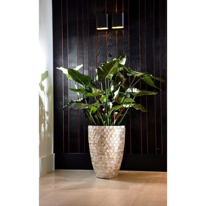 Mauritius mother-of-pearl Ø40 x H55 cm