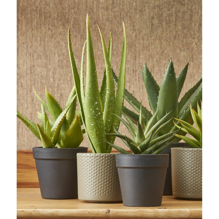 d61afdc2-2df8-4b1d-85a5-235a2149e867-afbeelding3.jpg (3268516) 