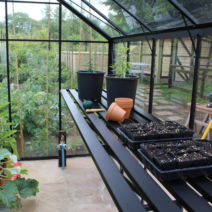 Royal Well Burford 106 Kweektafel