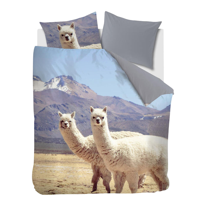 Ambiante Cusco Dekbedovertrek 200 x 200/220 cm - Multi