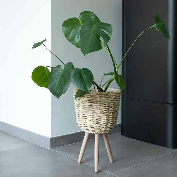 3b4f6368-d4b5-4ac5-86b8-2554873e0681-afbeelding10.jpg (3294702) 