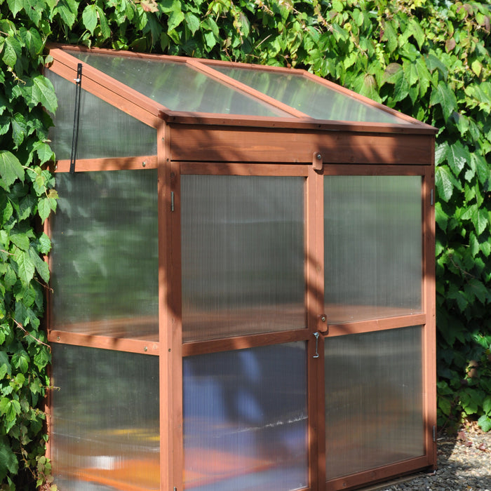 Royal Well Sweet Basil Patiokas