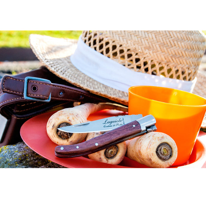 Laguiole Style de Vie Zakmes