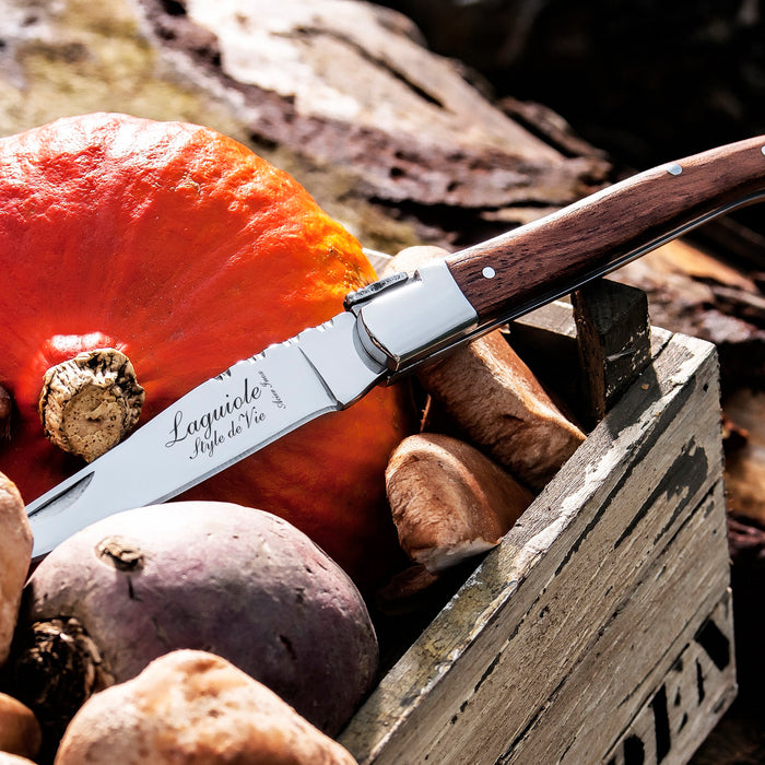 Laguiole Style de Vie Zakmes