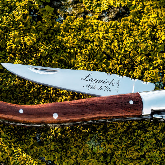 Laguiole Style de Vie Zakmes