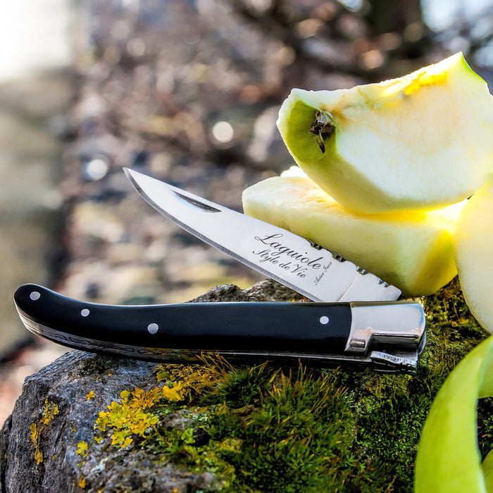 Laguiole Style de Vie Zakmes