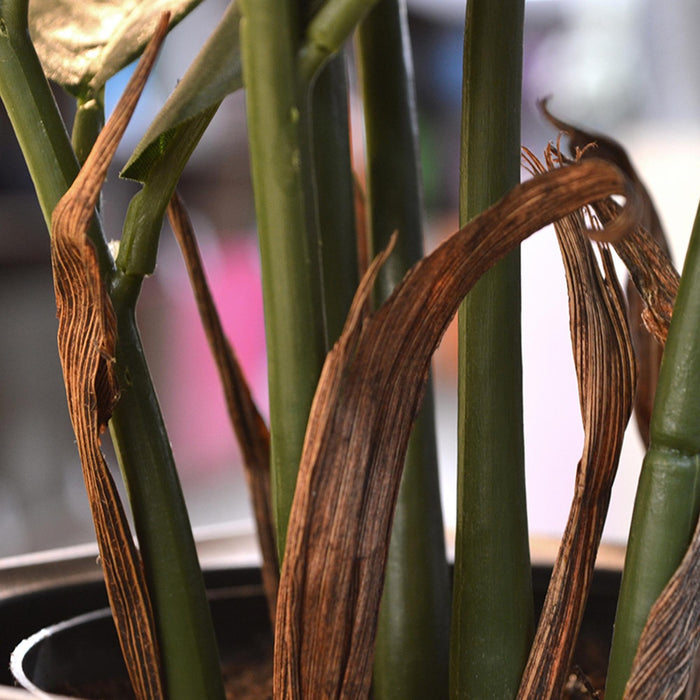 785603d6-2257-4faa-b7a4-c436e054ceb7-afbeelding7.jpg (3332127) 