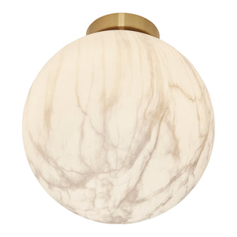 310752-x00.jpg (3344088) 