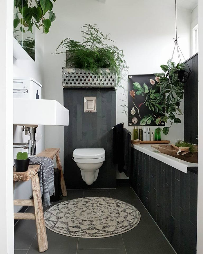 Villa Madelief Tuinposter botanisch vijgen (50x70cm)