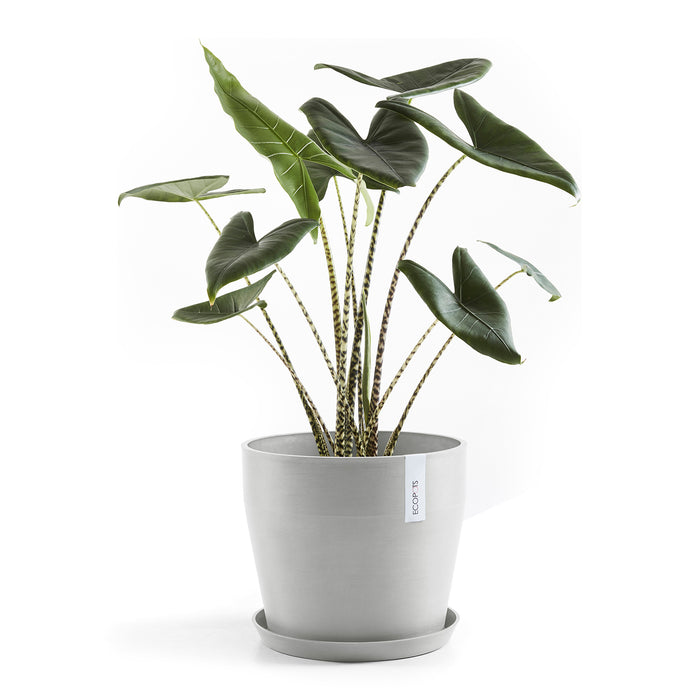 Ecopots Sankara  40