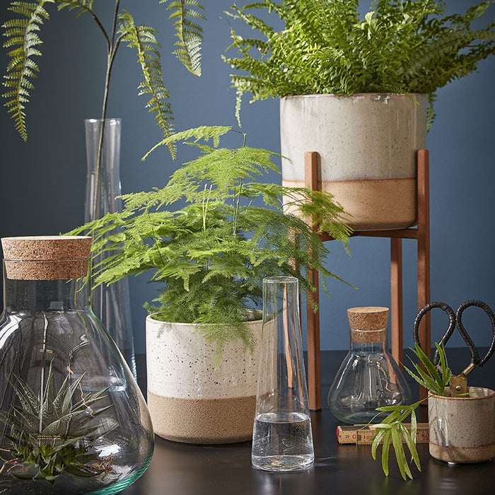 Mica Decorations Emily Voorraadpot Glas Transparant - 32 x ¯29,5 cm