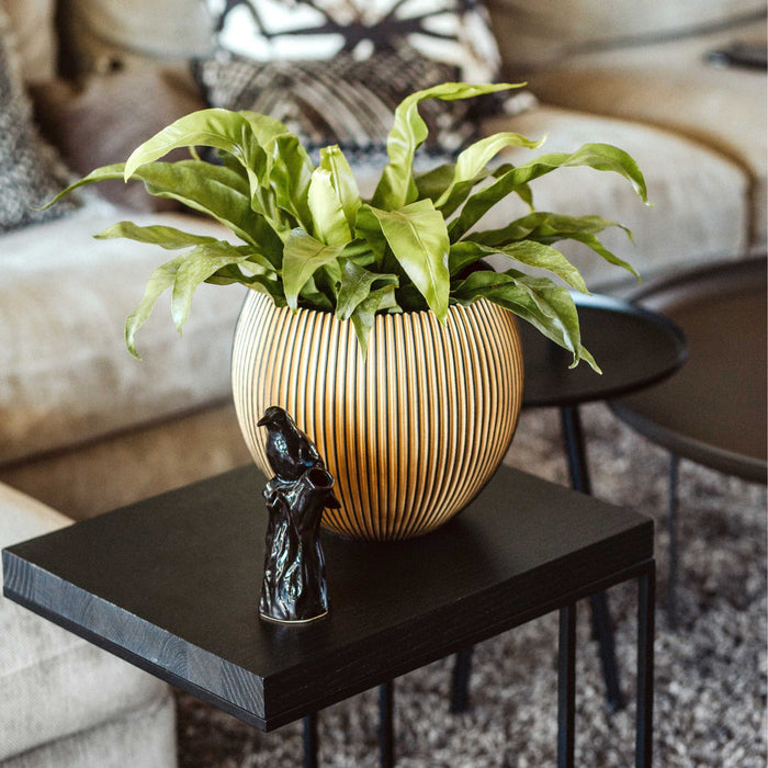 296761-x01.jpg (3365785) 