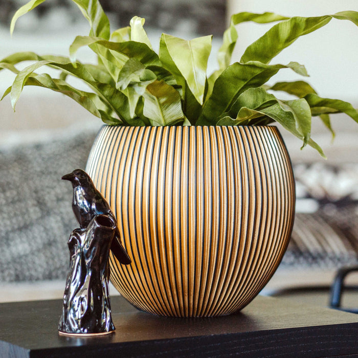 296761-x02.jpg (3365786) 