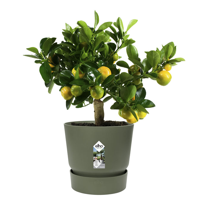 elho Greenville Bloempot 30 cm