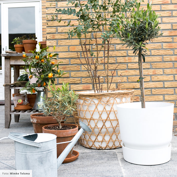 elho Greenville Bloempot 40 cm - 100% gerecycled kunststof