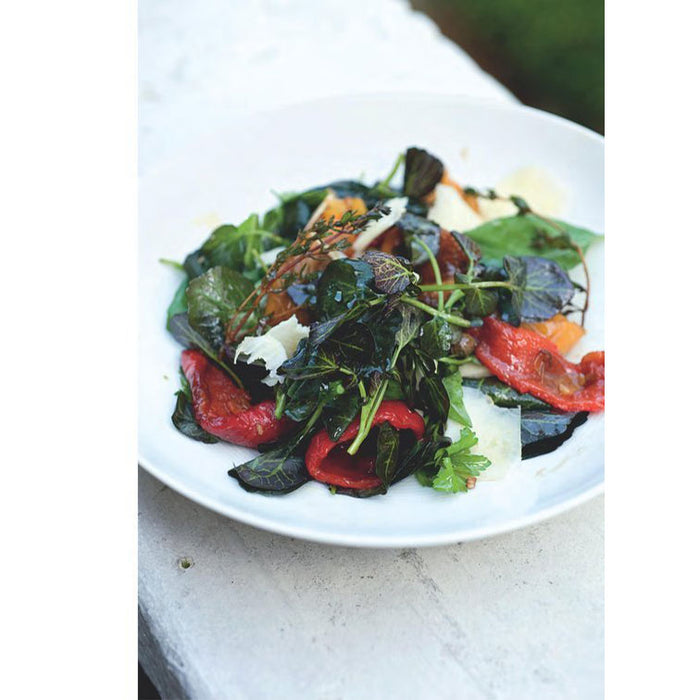 Plenty - Yotam Ottolenghi