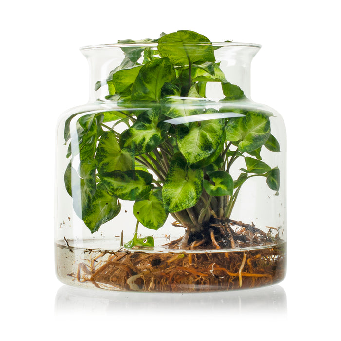 dcf5f33e-01be-4187-99c9-f6eab996d1f1-sfeerbeeld.jpg (3389832) 