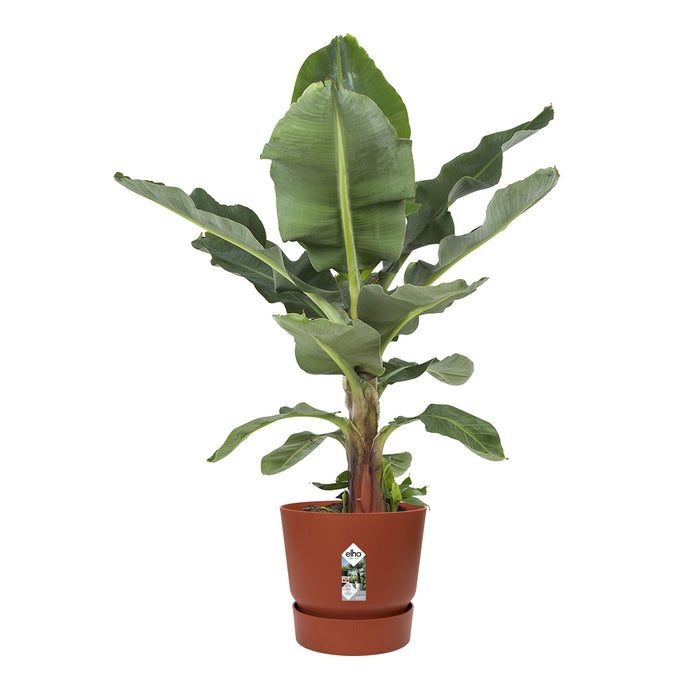 Elho Greenville Bloempot 40 cm