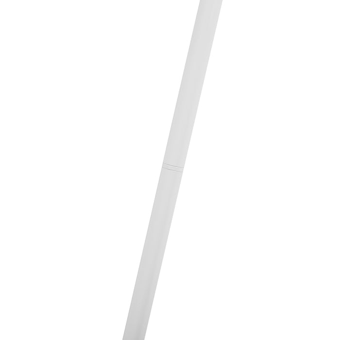 5cb4d002-28d5-4921-a28e-7cf5b5adc3f5-afbeelding8.jpg (3397572) 