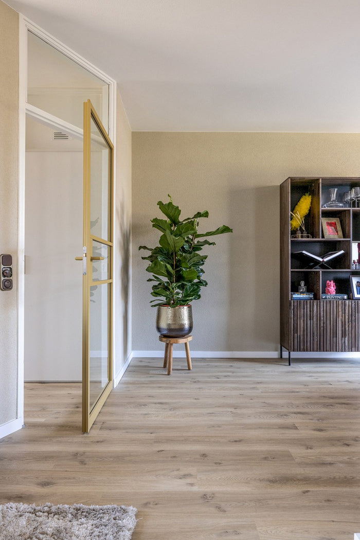 faf7aaa7-44f8-469a-8d86-4db6f13edb91-afbeelding12.jpg (3402082) 