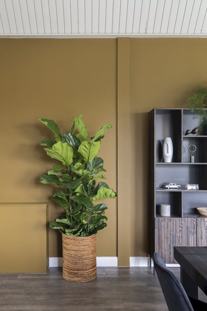 faf7aaa7-44f8-469a-8d86-4db6f13edb91-afbeelding7.jpg (3402091) 