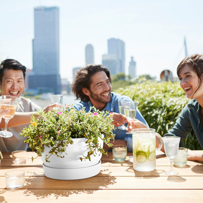 Elho Greenville Schaal 33 cm