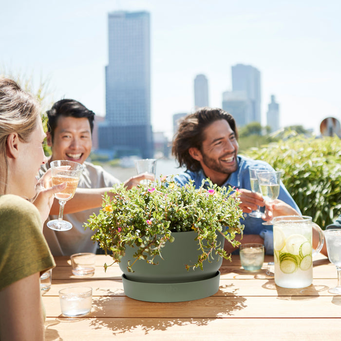 Elho Greenville Schaal 33 cm