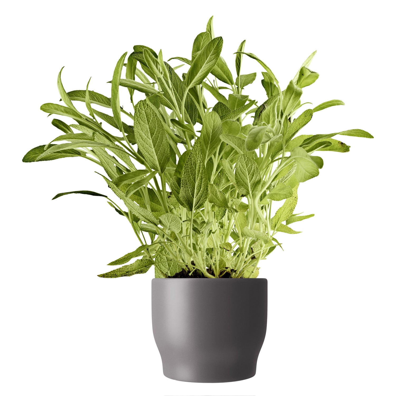 Eva Solo Bloempot Ø 11 cm