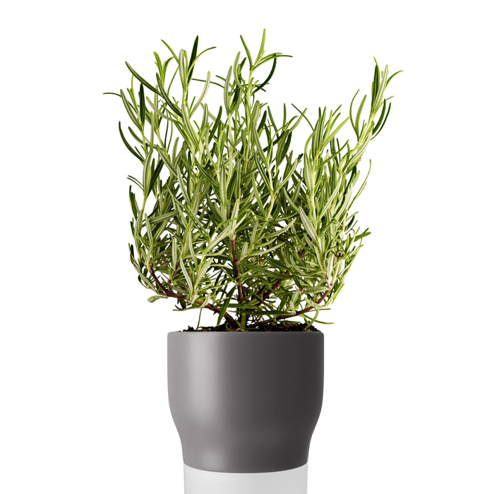 Eva Solo Bloempot Ø 11 cm