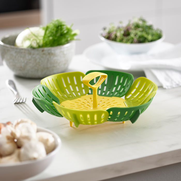 Joseph Joseph Bloom Vouw Stoommand