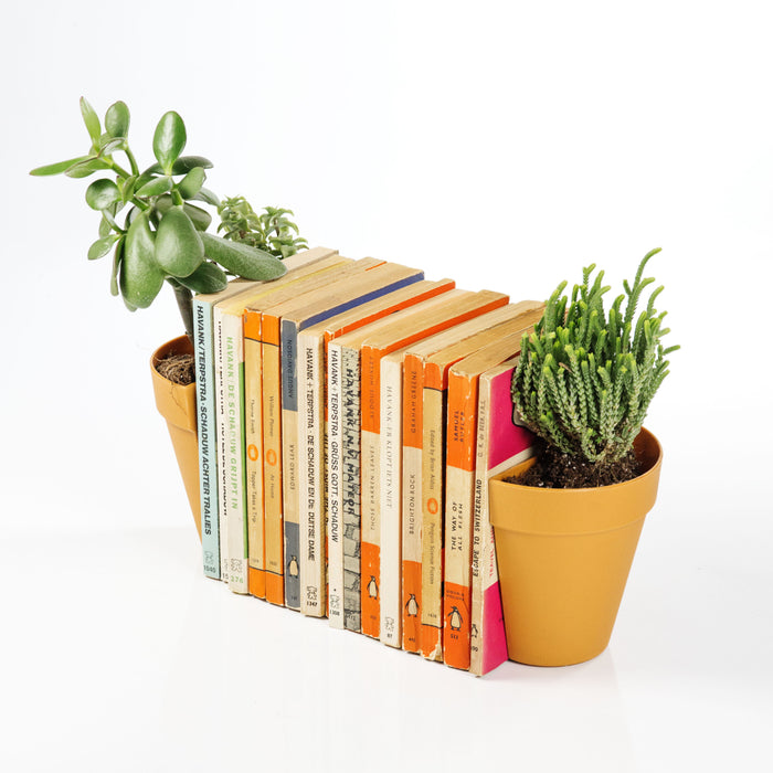 180779-x00.jpg (3416633) 